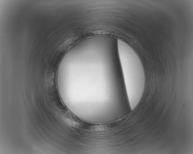 X0000081560652200701151001