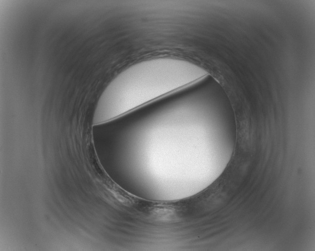 X0000081560653200701151001