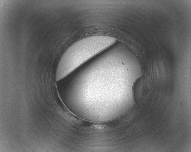 X0000081560654200701151001