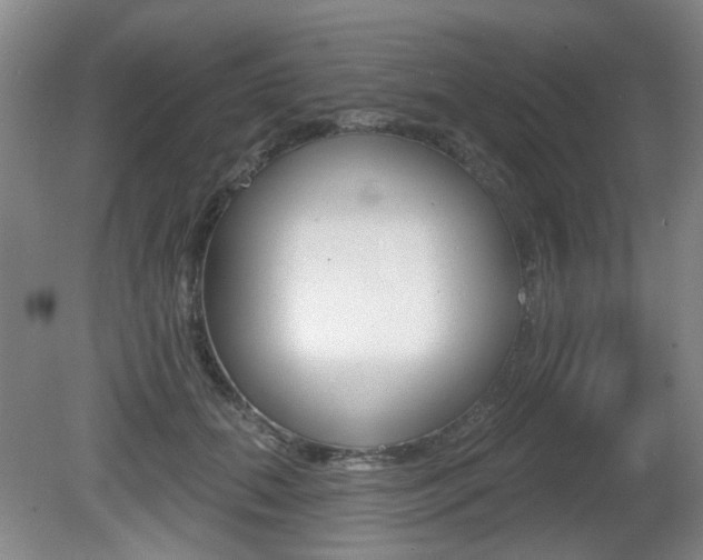 X0000081560655200701151001