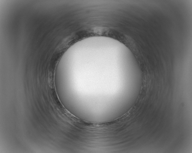 X0000081560656200701151001