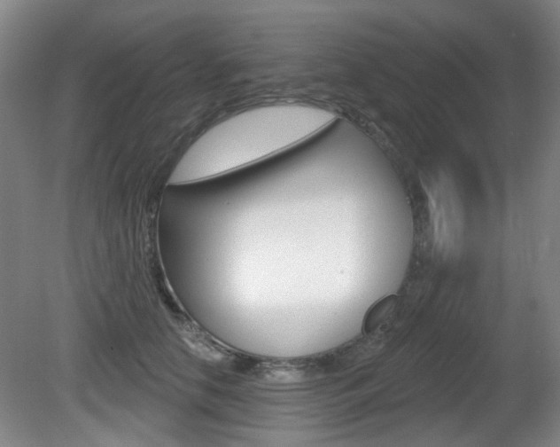 X0000081560658200701151001