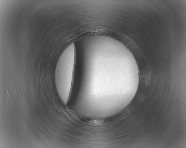 X0000081560660200701151001