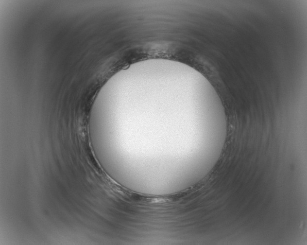 X0000081560663200701151001