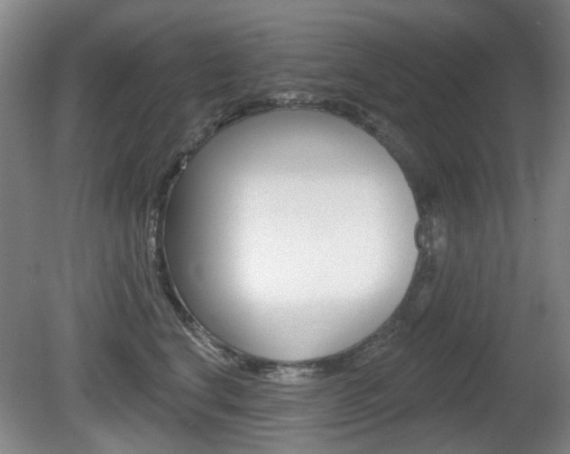 X0000081560664200701151001