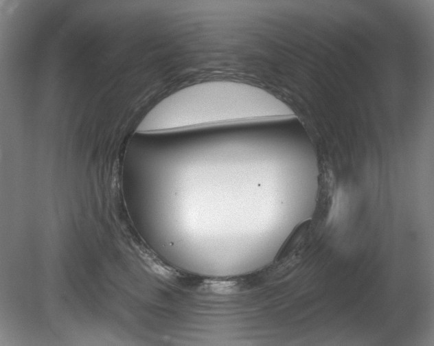 X0000081560665200701151001