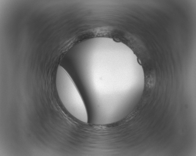X0000081560666200701151001