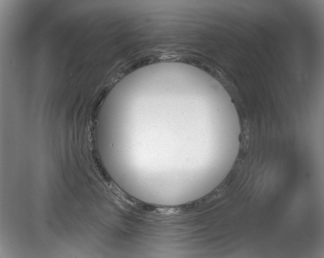 X0000081560667200701151001