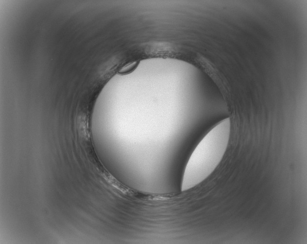 X0000081560669200701151001