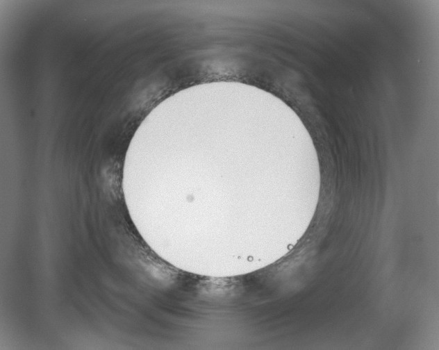 X0000081560672200701151001