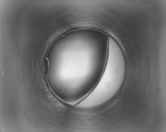 X0000081560673200701151000