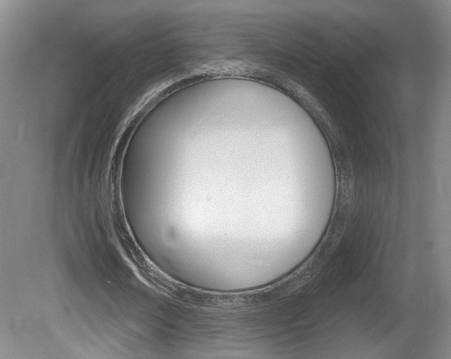 X0000081560674200701151000