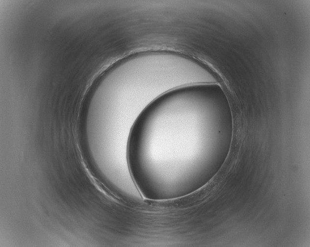 X0000081560677200701151000