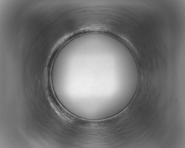 X0000081560678200701151000
