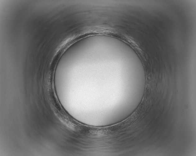 X0000081560679200701151000