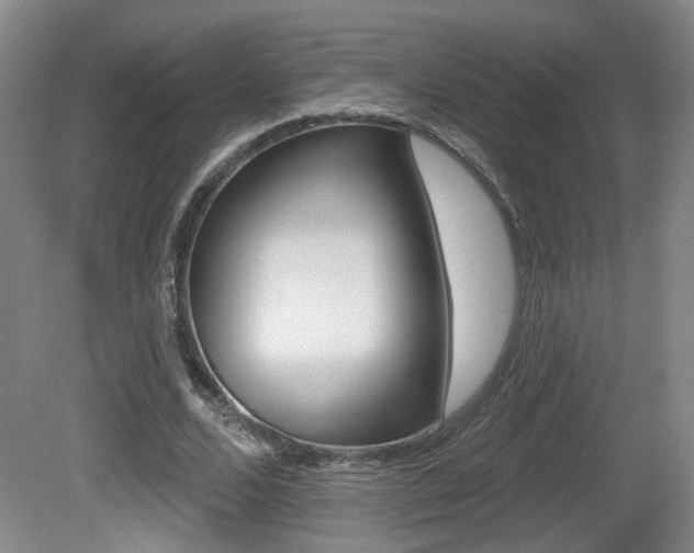 X0000081560680200701151000