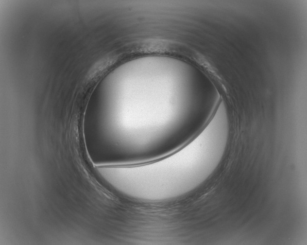 X0000081560681200701151000