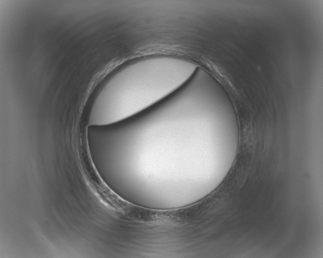 X0000081560682200701151000