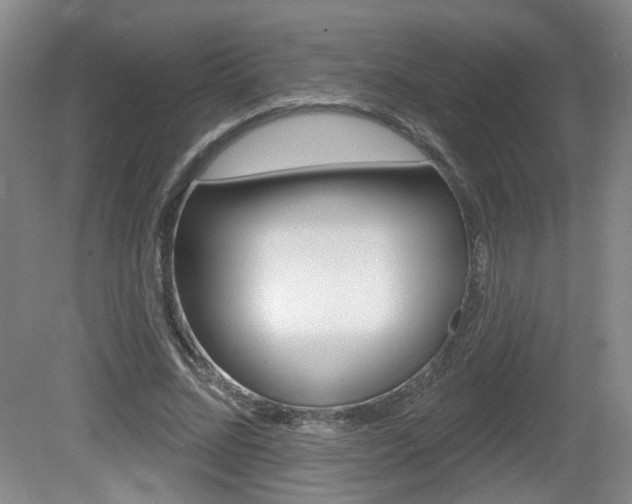X0000081560684200701151000
