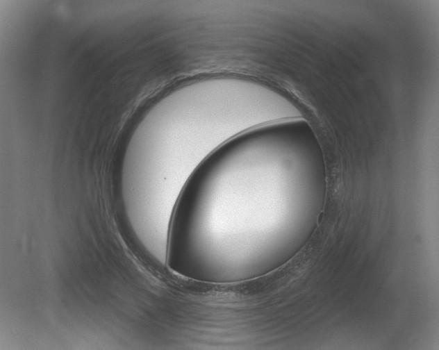 X0000081560685200701151000