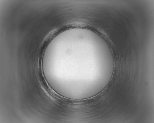 X0000081560686200701151000