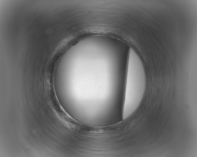 X0000081560688200701151000