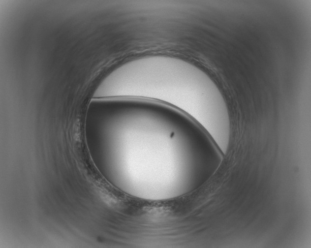 X0000081560689200701151000