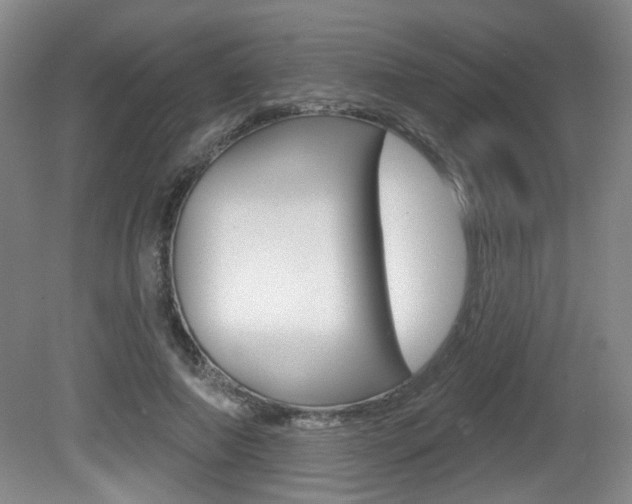 X0000081560690200701151000