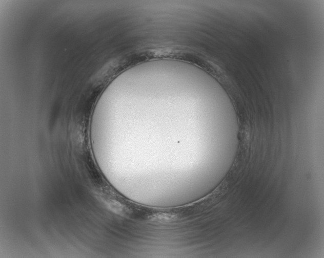 X0000081560691200701151000