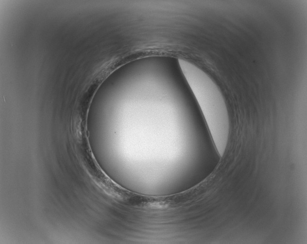 X0000081560692200701151000