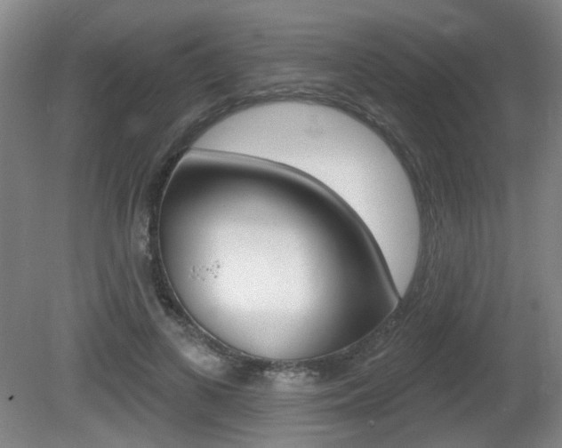 X0000081560693200701151000