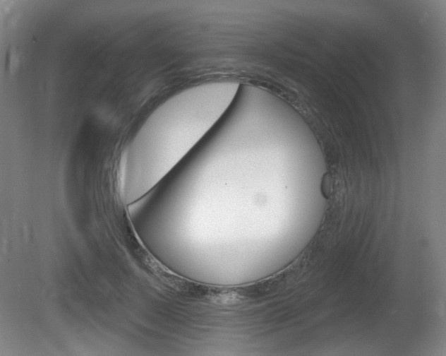 X0000081560695200701151000