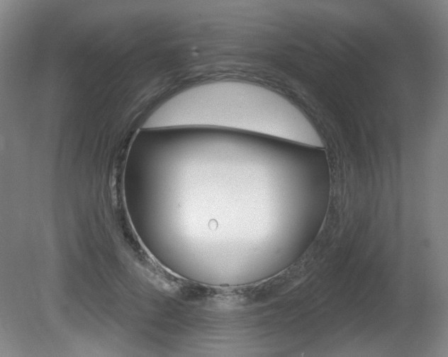 X0000081560696200701151000