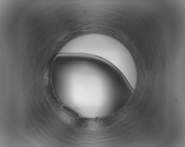 X0000081560697200701151000