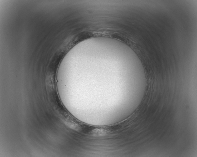X0000081560699200701151000