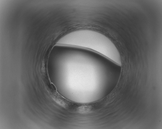 X0000081560700200701151000