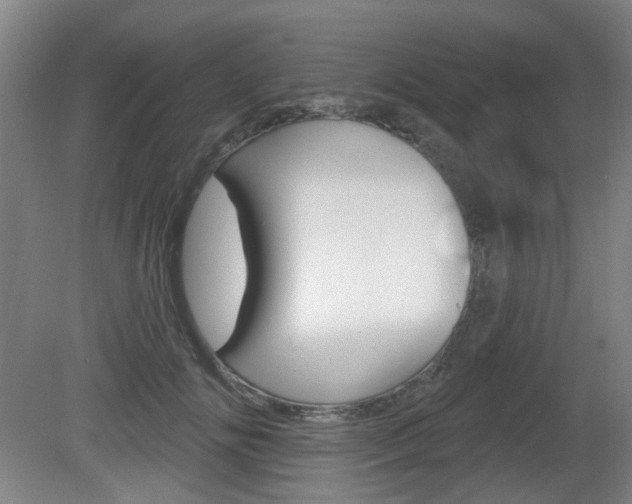 X0000081560702200701151000