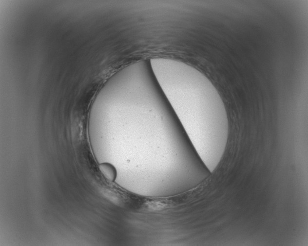 X0000081560703200701151000