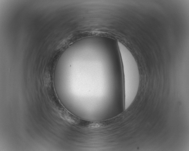 X0000081560704200701151000