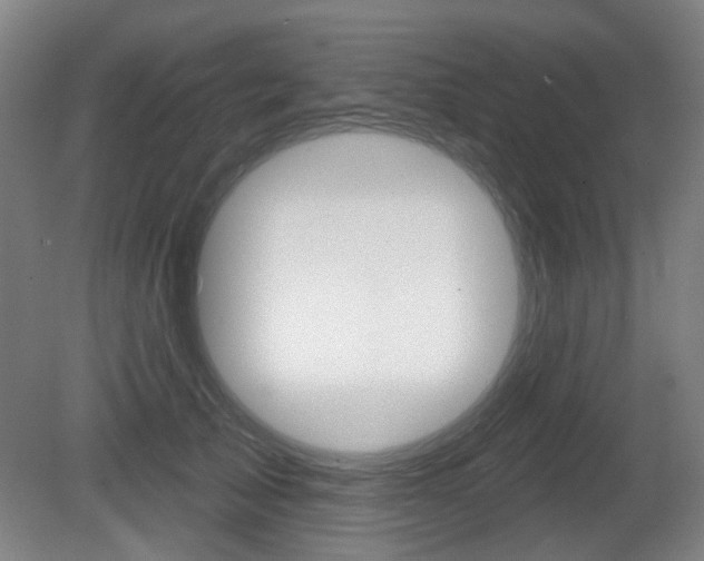 X0000081560705200701151000