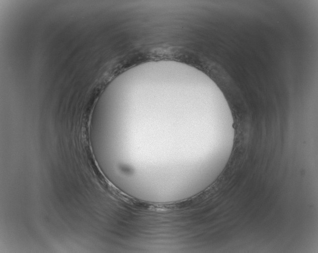 X0000081560706200701151000
