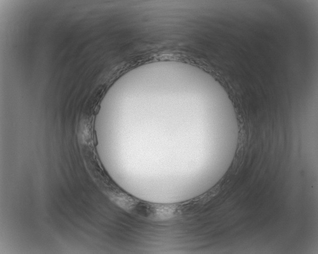 X0000081560709200701151000