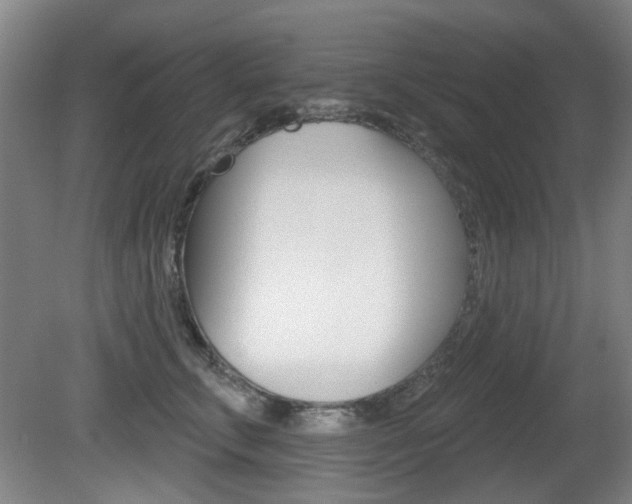 X0000081560711200701151000