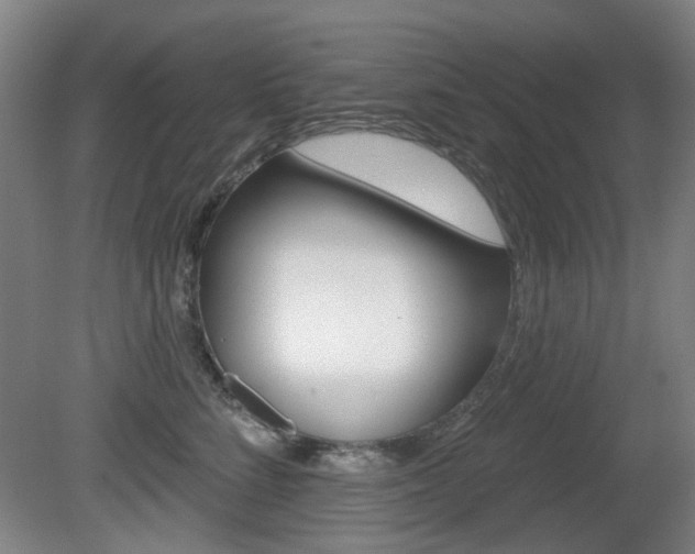 X0000081560712200701151000