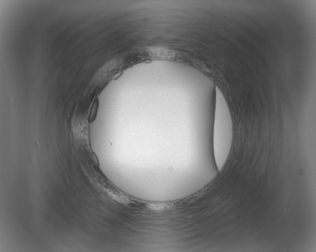 X0000081560713200701151000