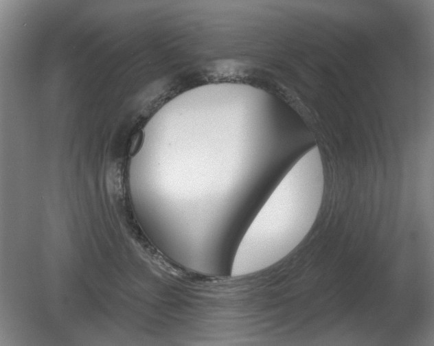 X0000081560715200701151000