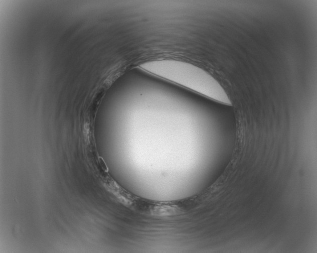 X0000081560716200701151000