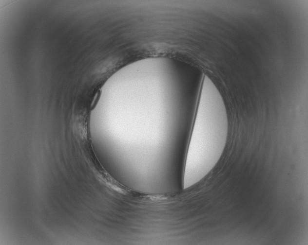 X0000081560719200701151000