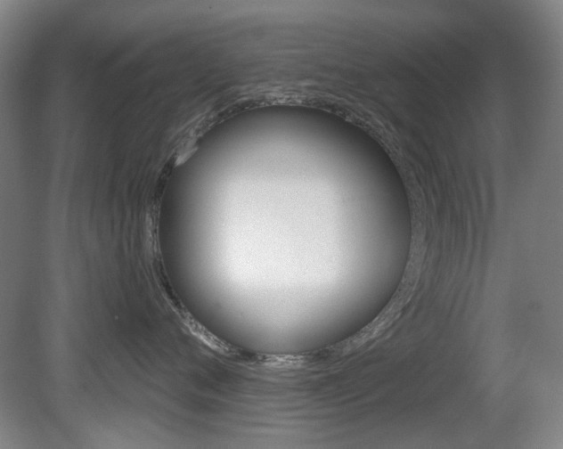 X0000081560720200701150959