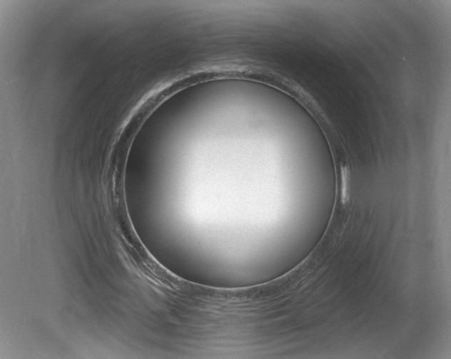 X0000081560723200701150959